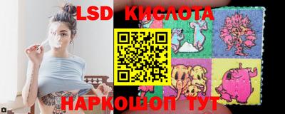 a pvp Заводоуковск